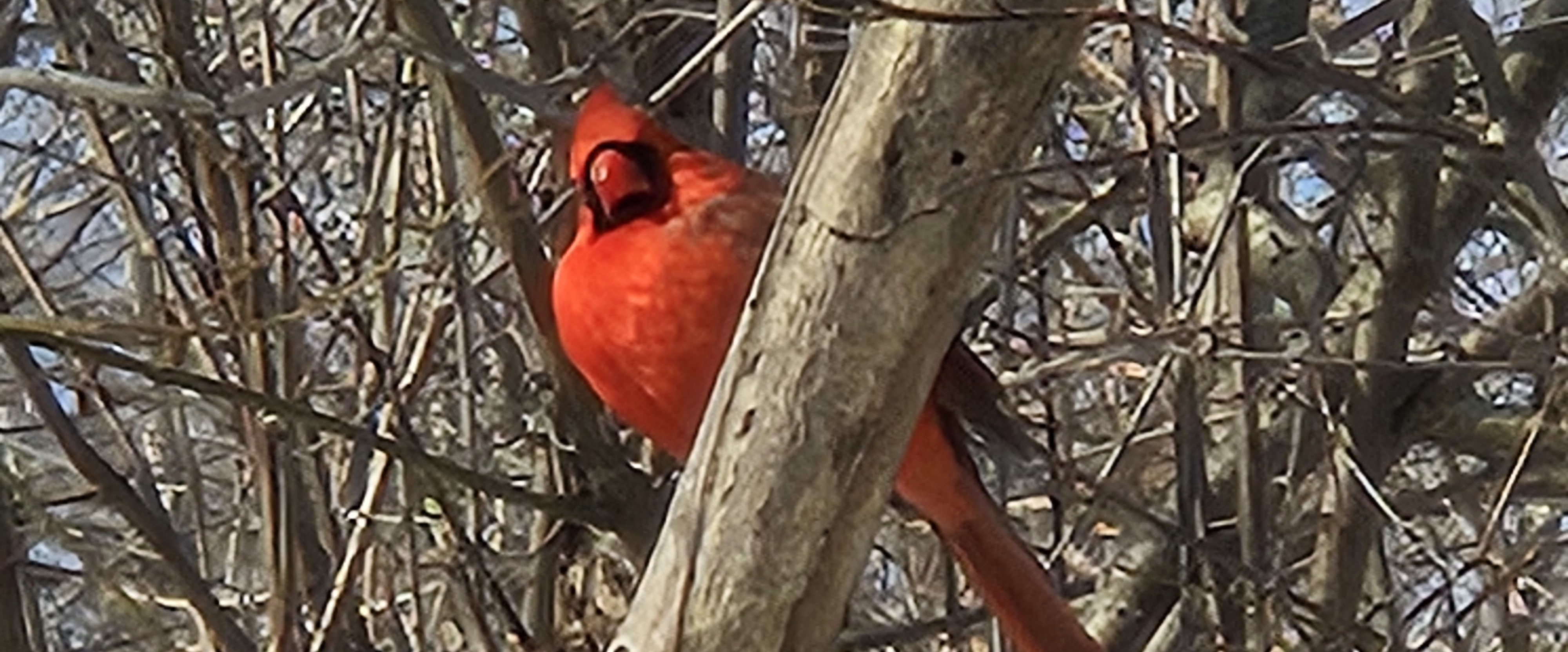 challenge background