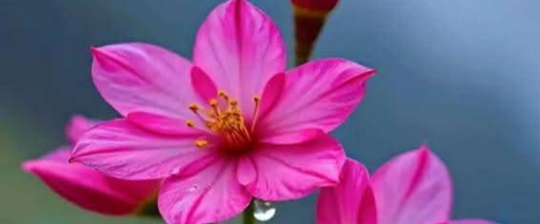 challenge background