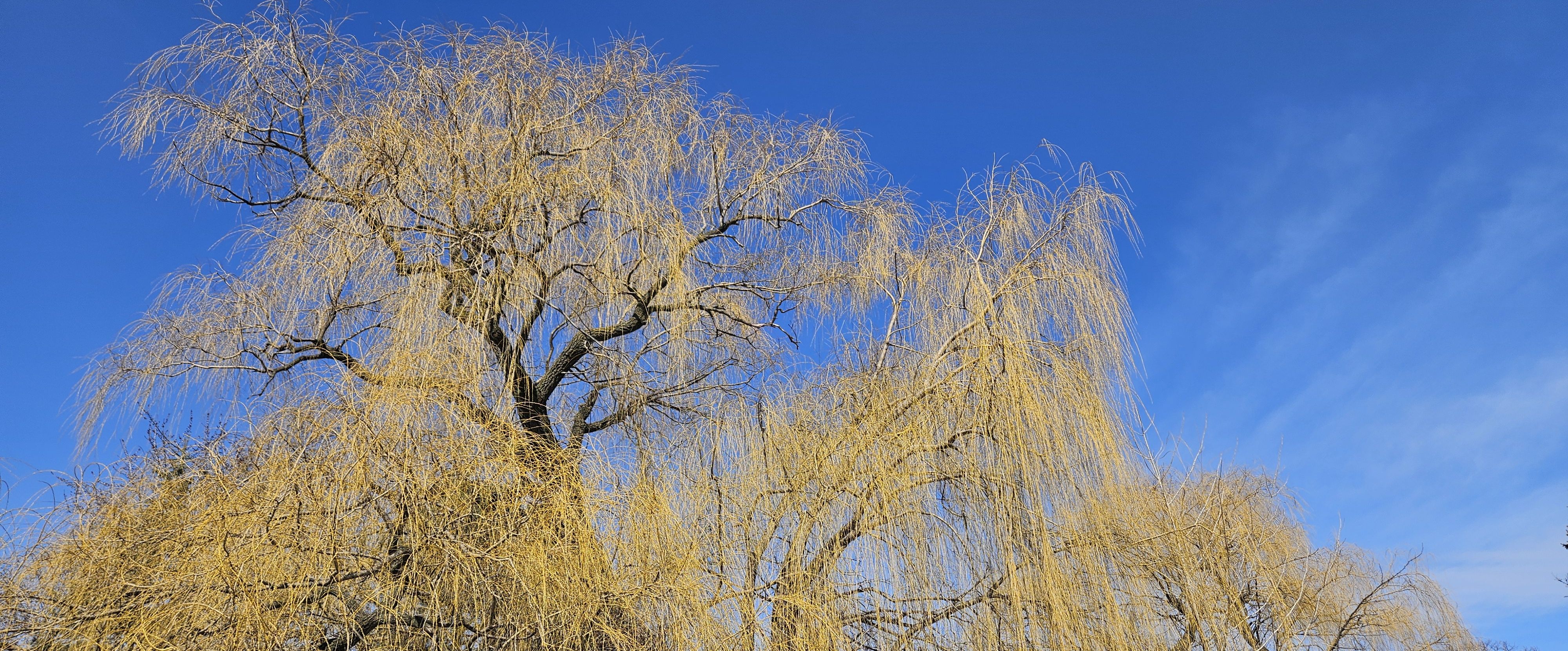 challenge background