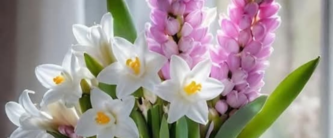 challenge background