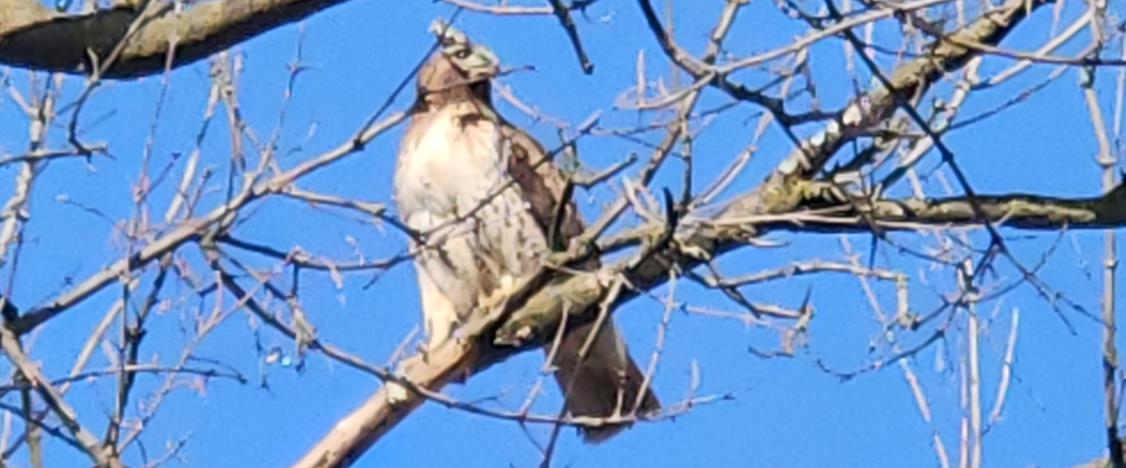 challenge background