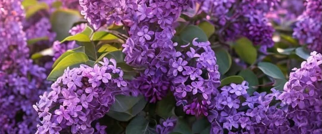 challenge background