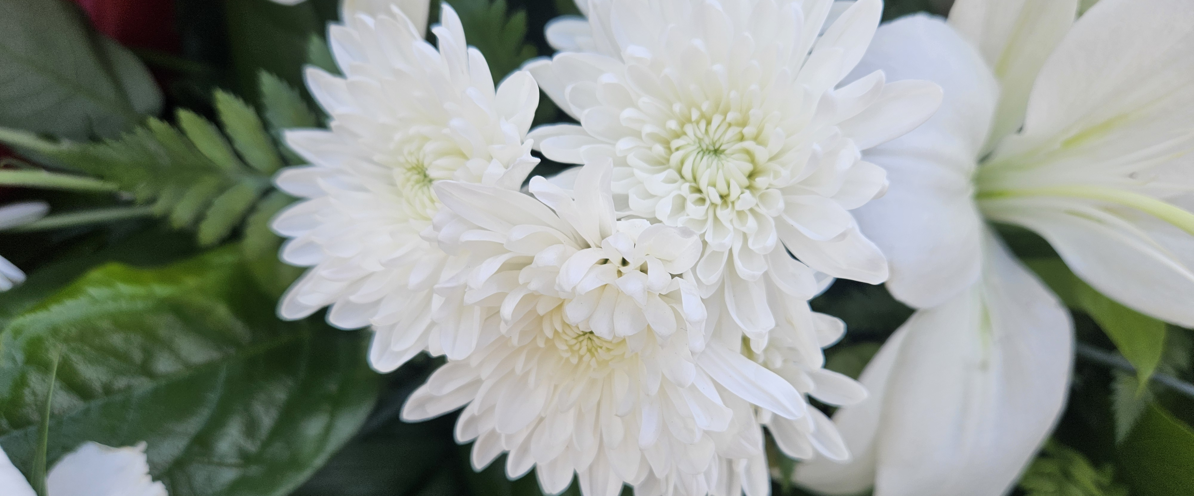 challenge background