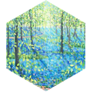Daily 5000 steps Challenge icon
