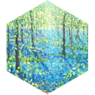 Spring Goal Challenge icon