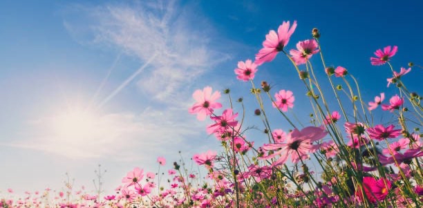 challenge background