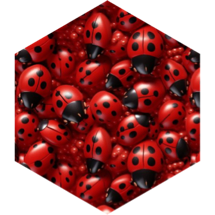 🐞Marienkäfer Herausforderung🐞 icon