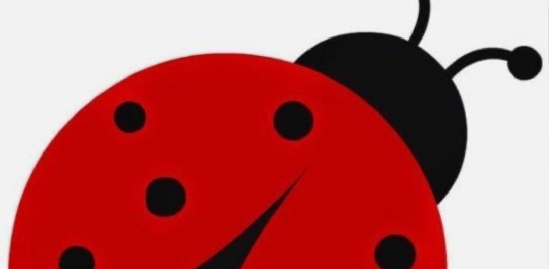 🐞Marienkäfer Herausforderung🐞 logo