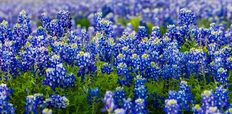 challenge background