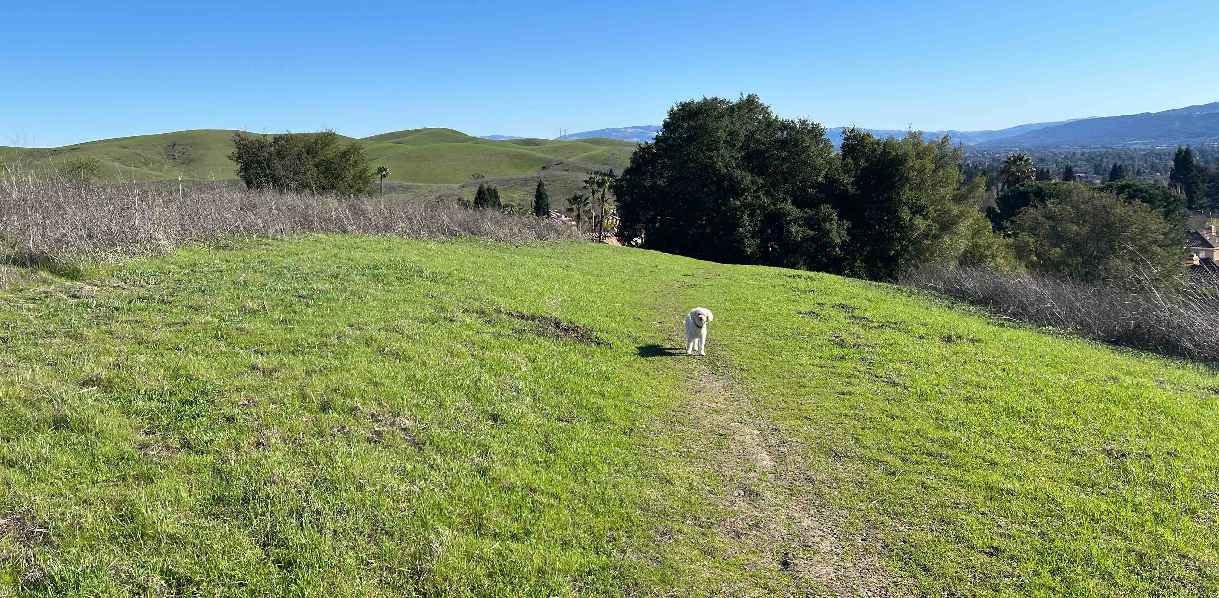 challenge background