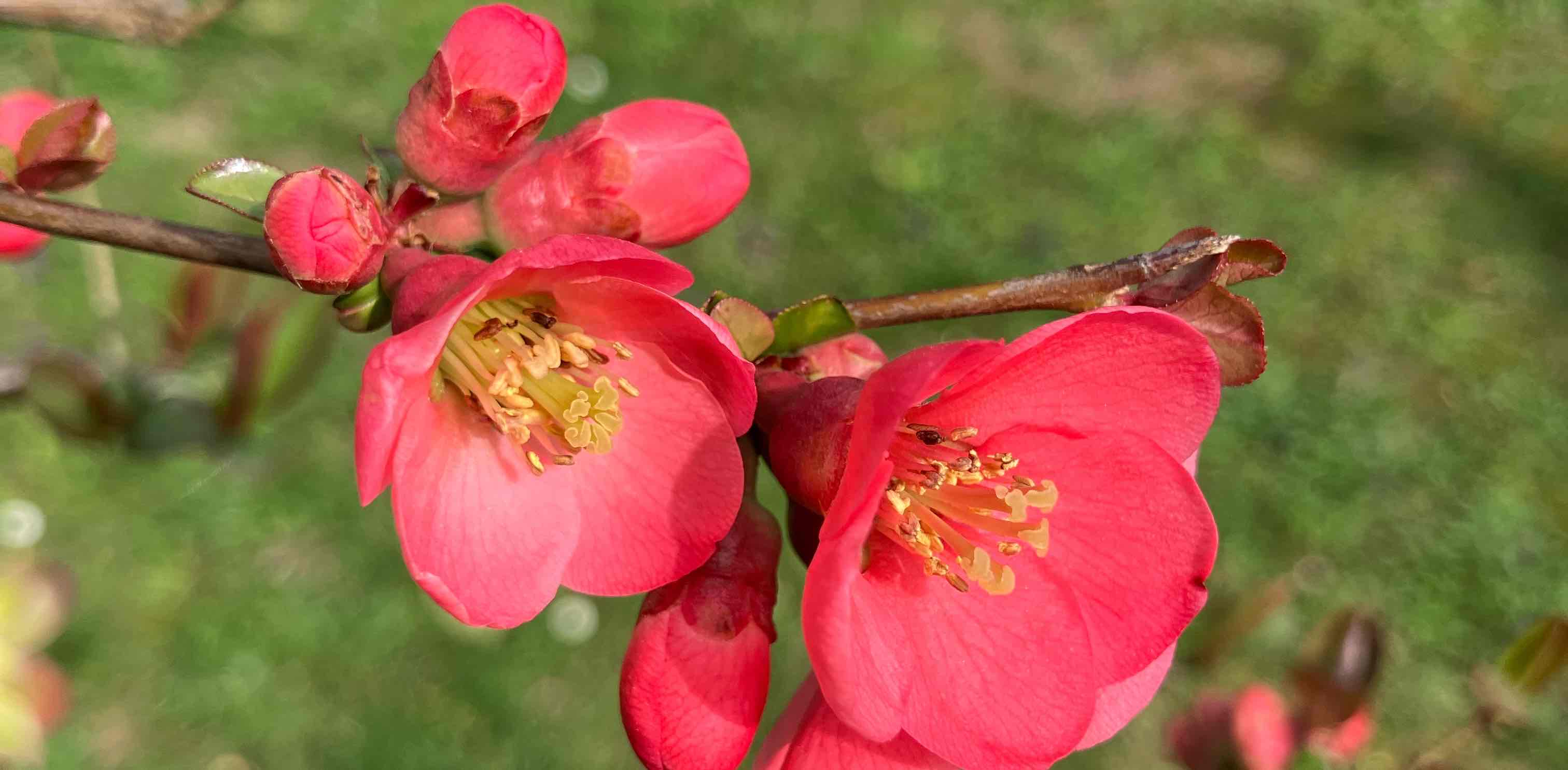 🐝 10 000 🌸 Да здравствует весна 🌸 logo