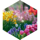 April Marathon Step Estimate Daily Points icon