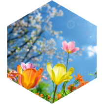 April 3 km Step Estimate Daily Points icon