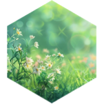 April 10 km Step Estimate Daily Points icon