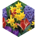 Spring Blooms Group Challenge icon