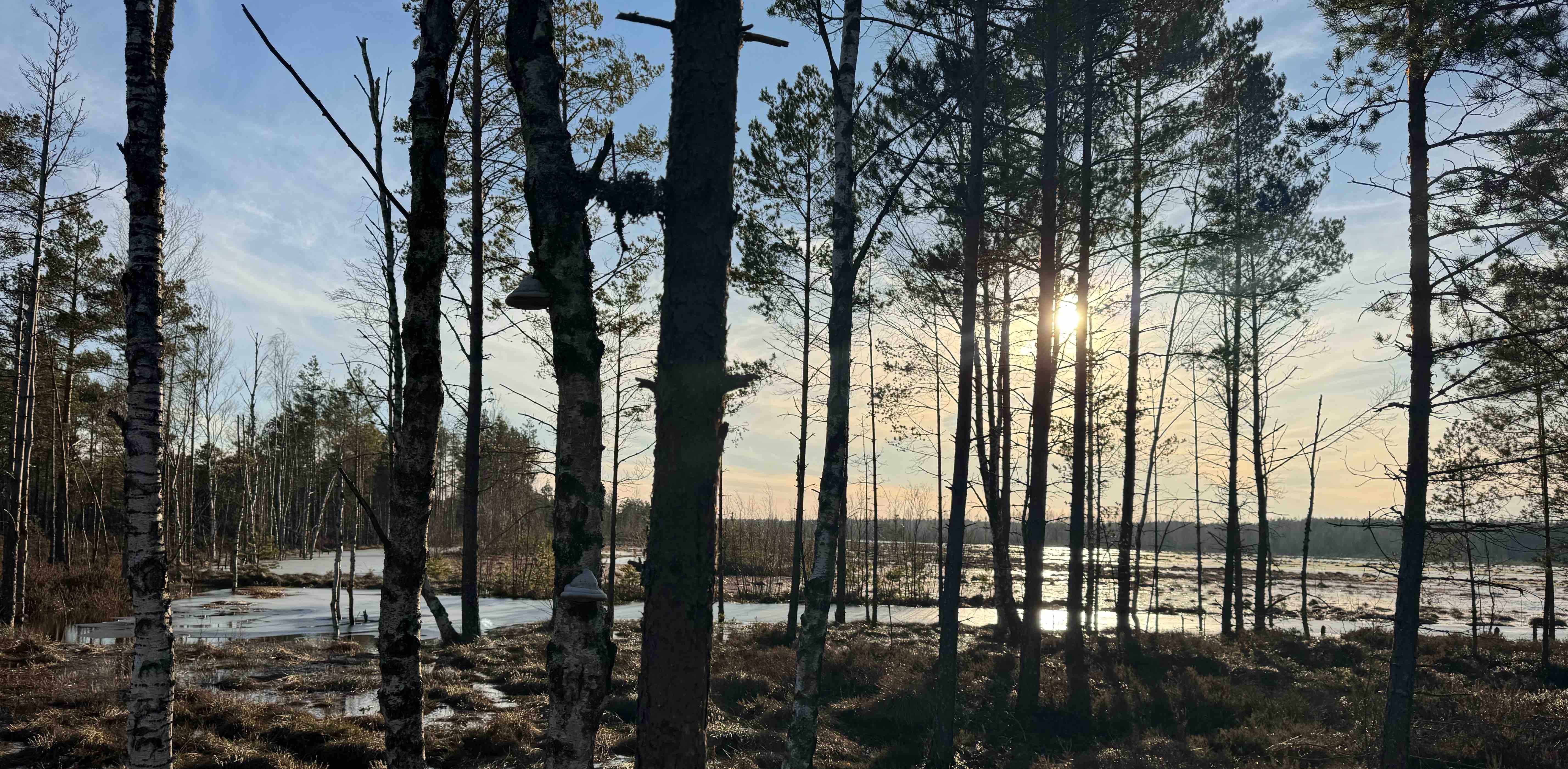 challenge background