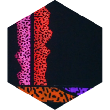 New Kids on the Walk icon