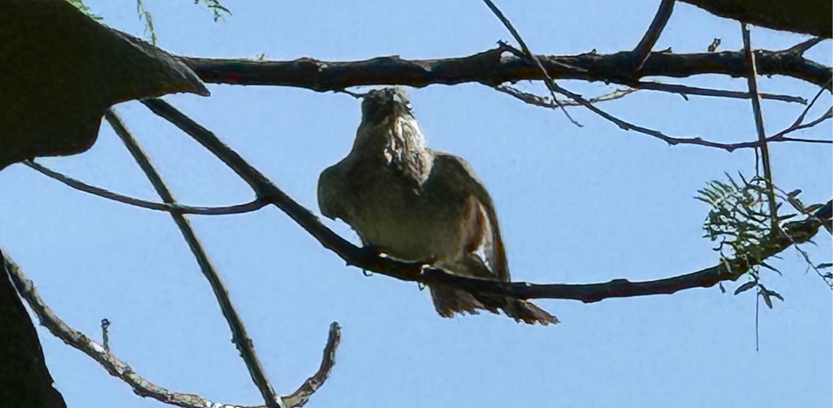 challenge background