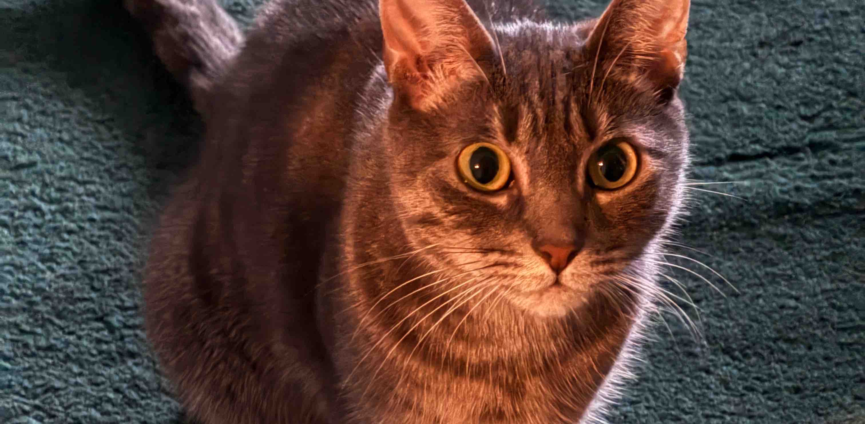 challenge background