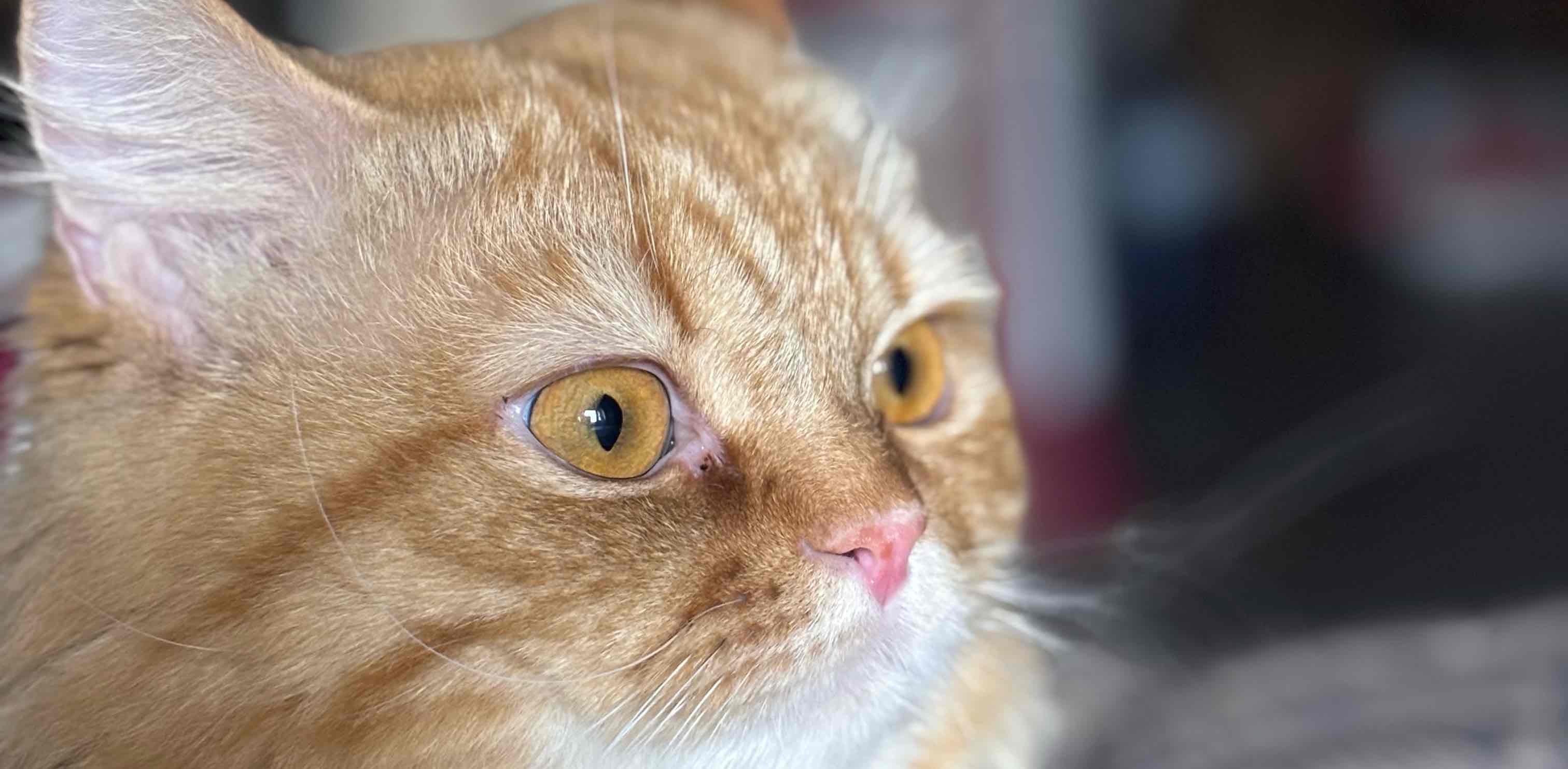 challenge background