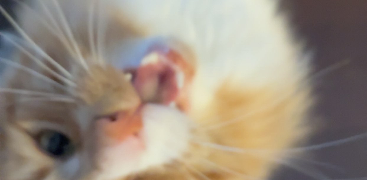 challenge background