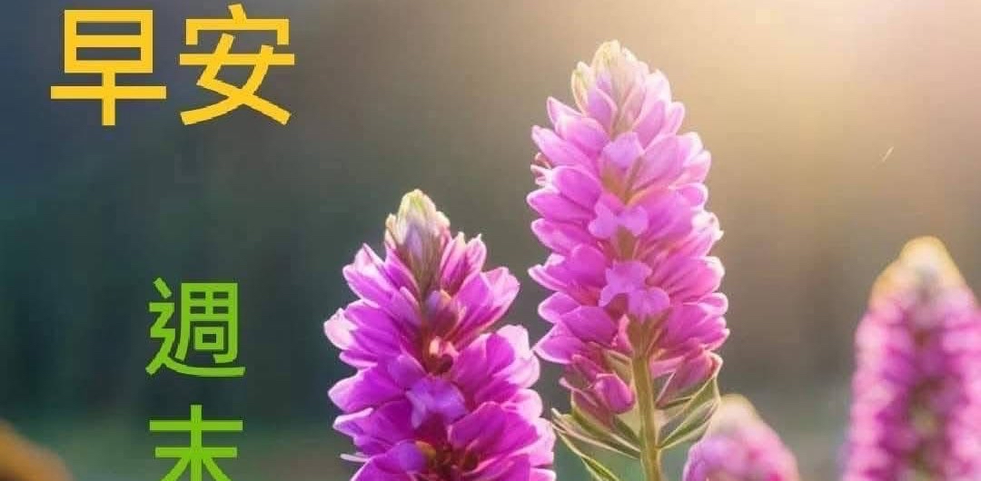 challenge background