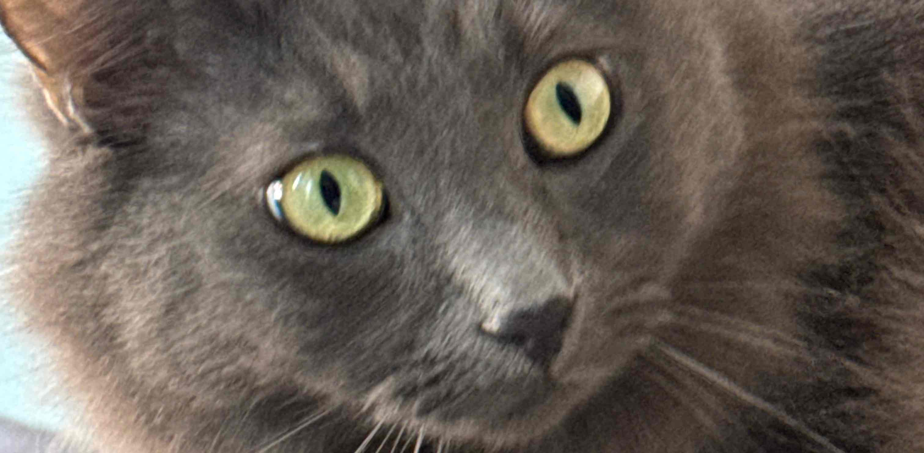 challenge background