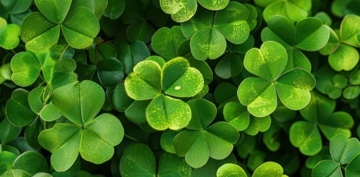 challenge background