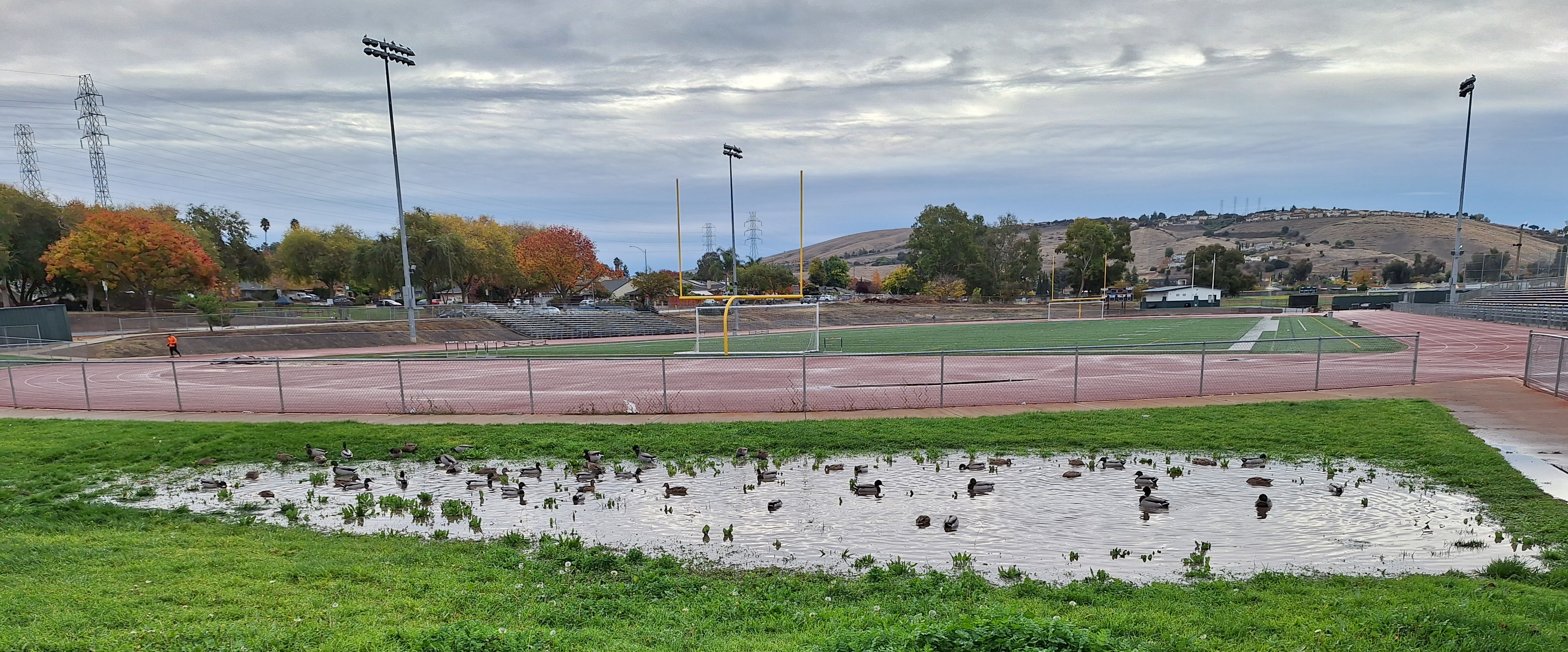 challenge background