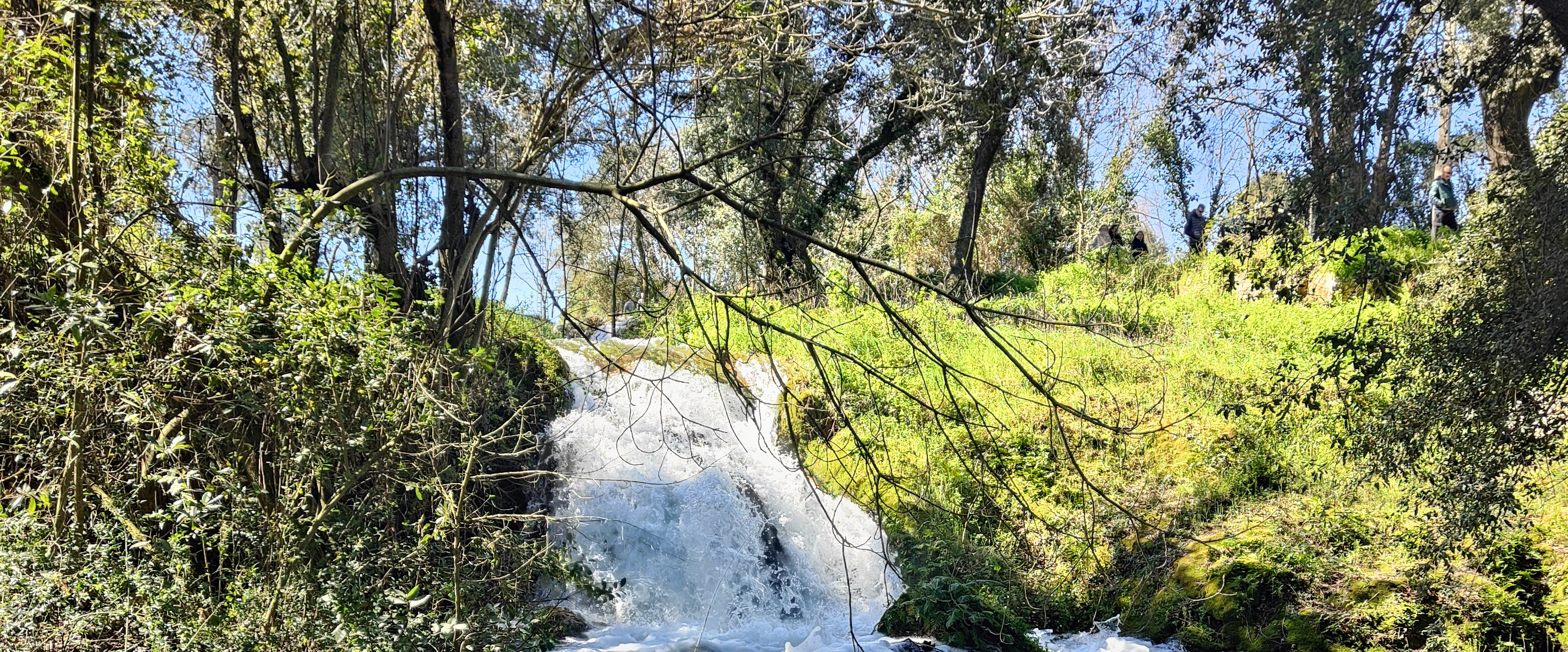 challenge background