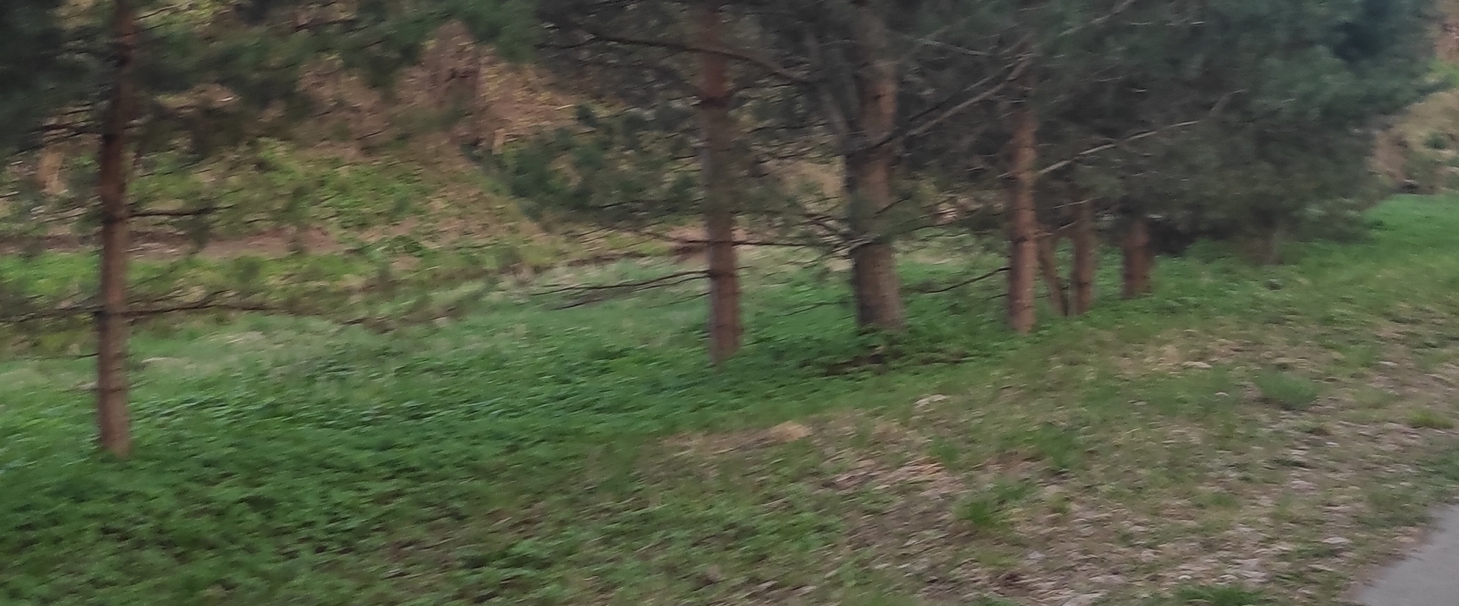 challenge background