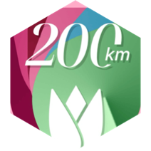challenge badge