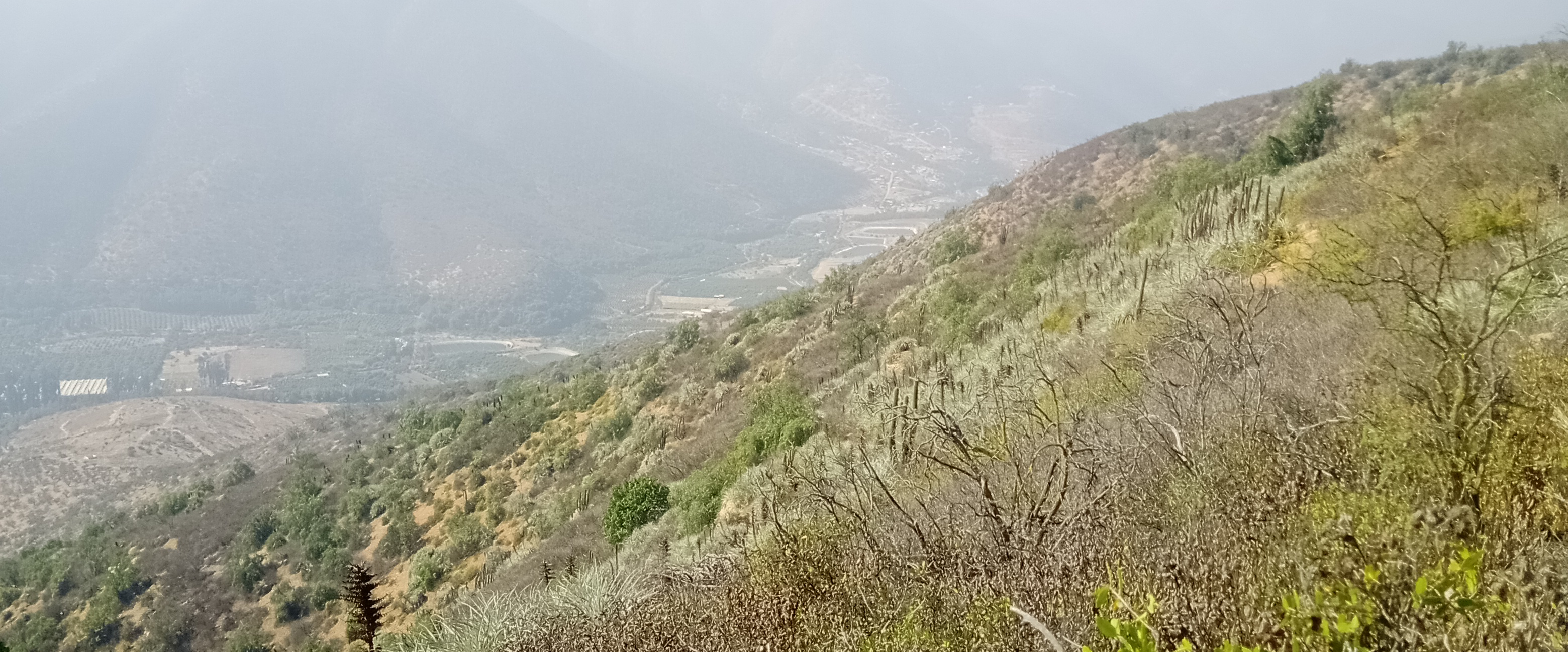 challenge background