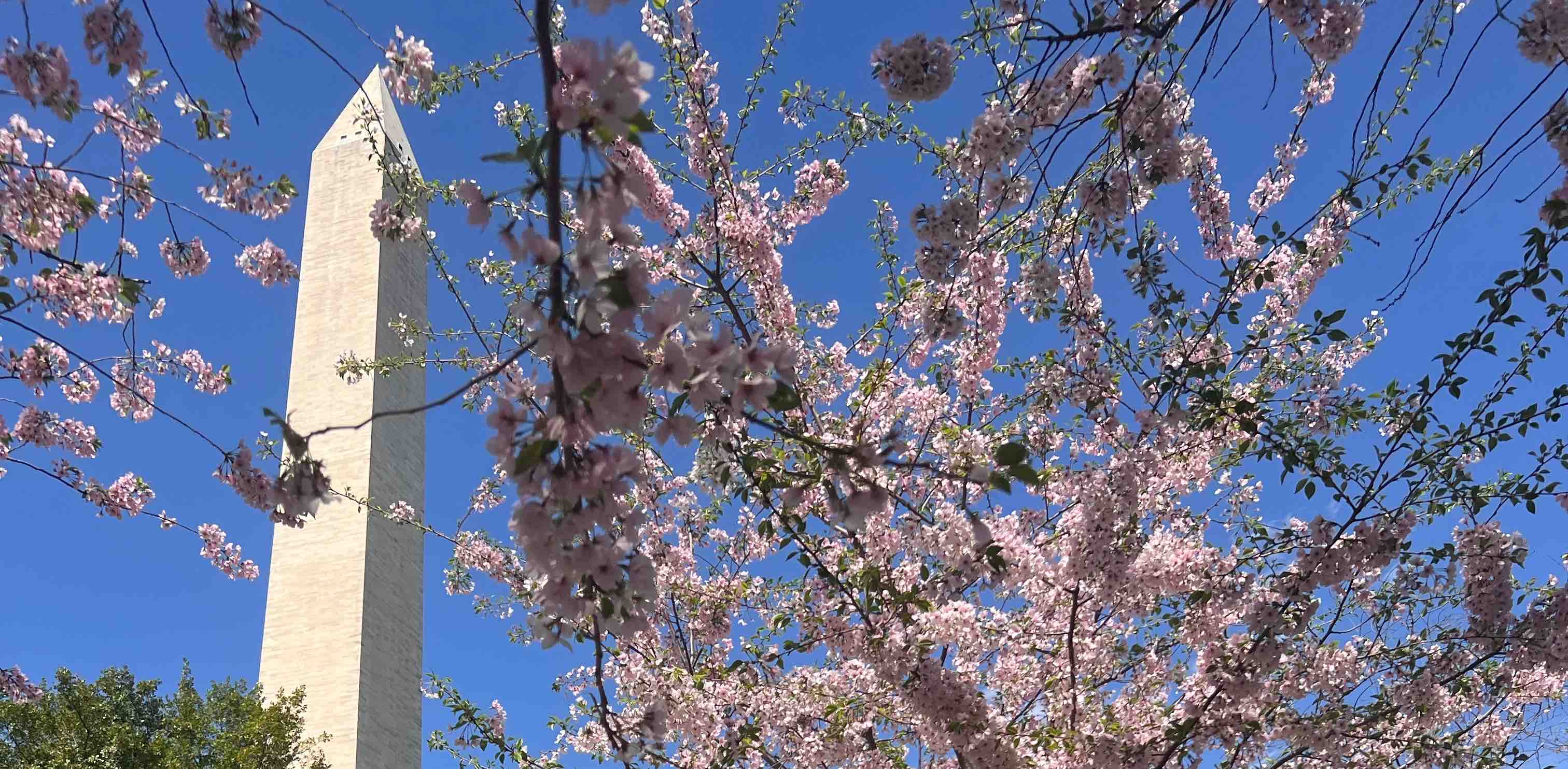 challenge background