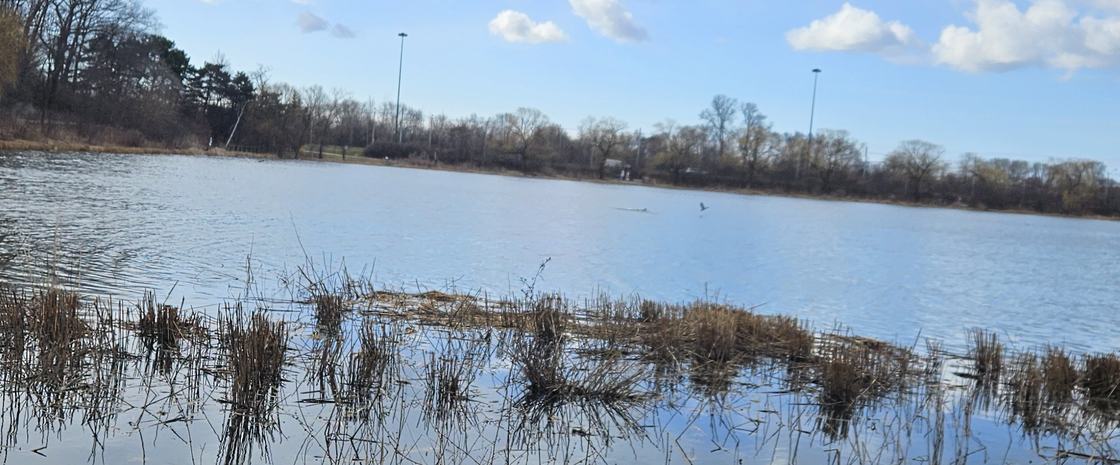 challenge background