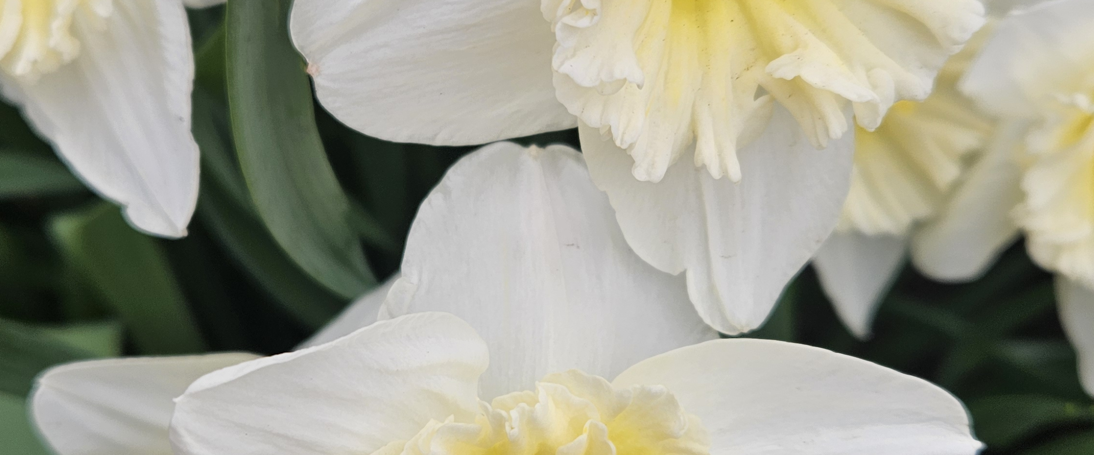 challenge background