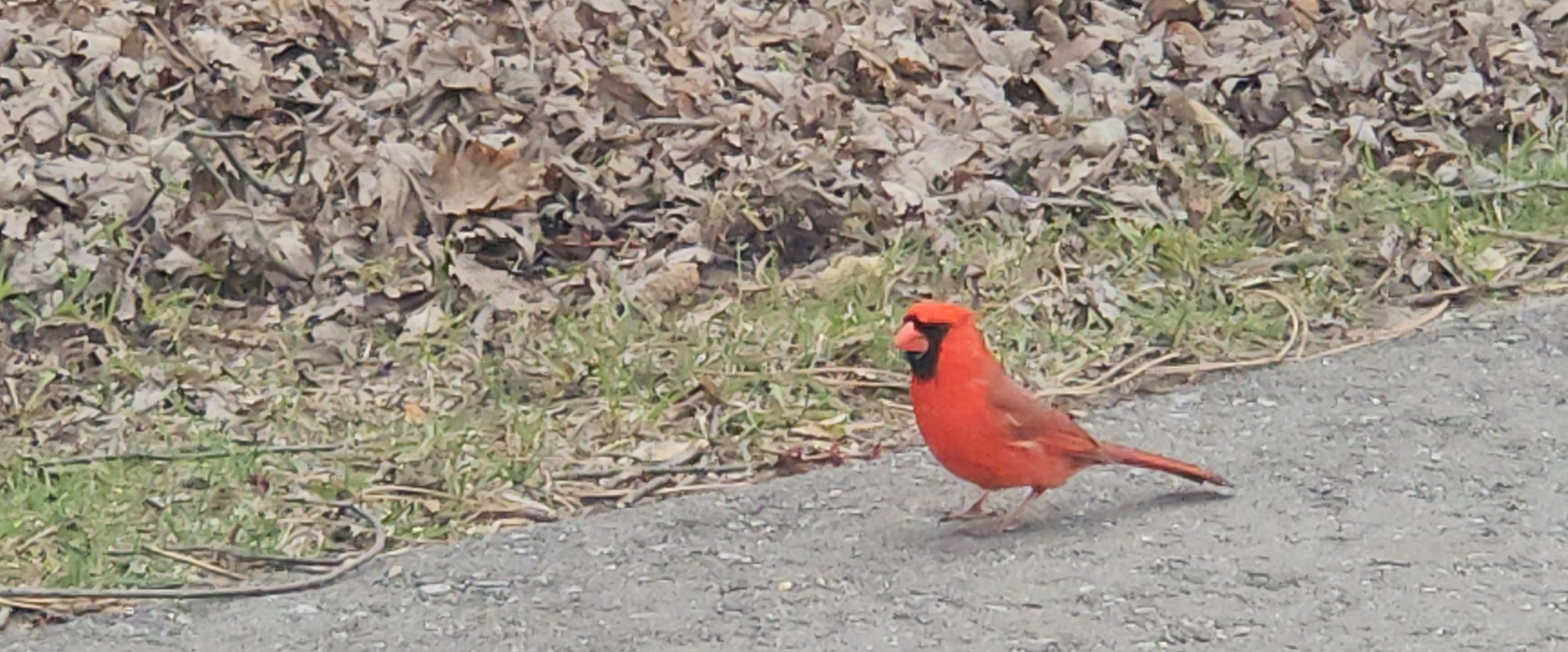 challenge background