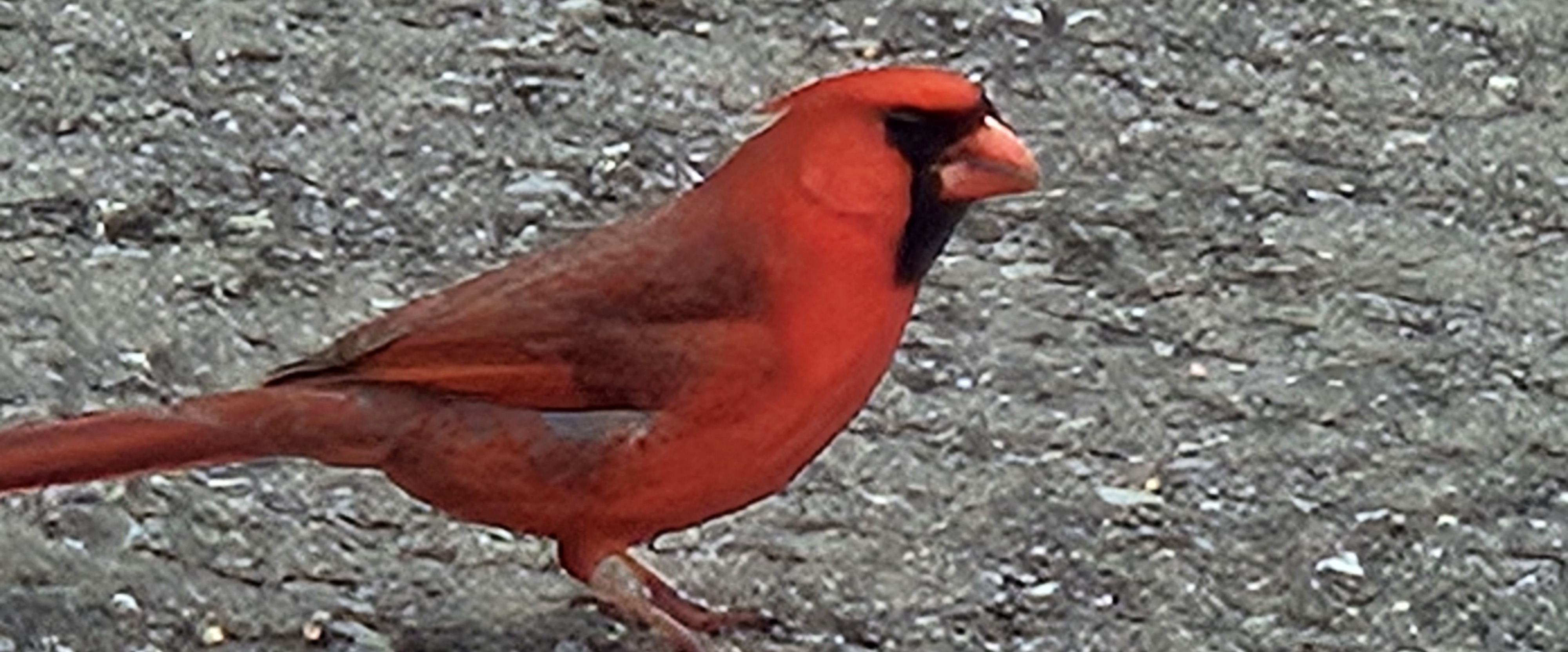 challenge background