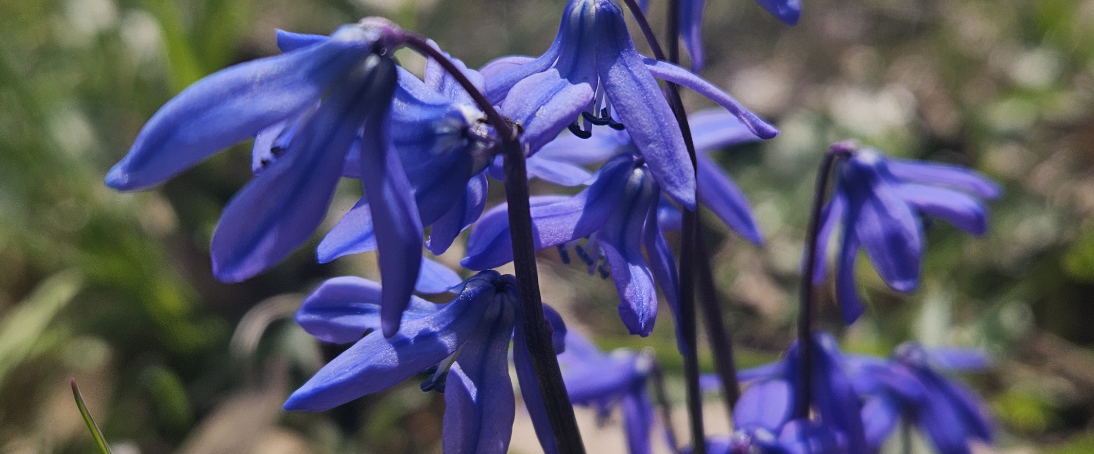 challenge background