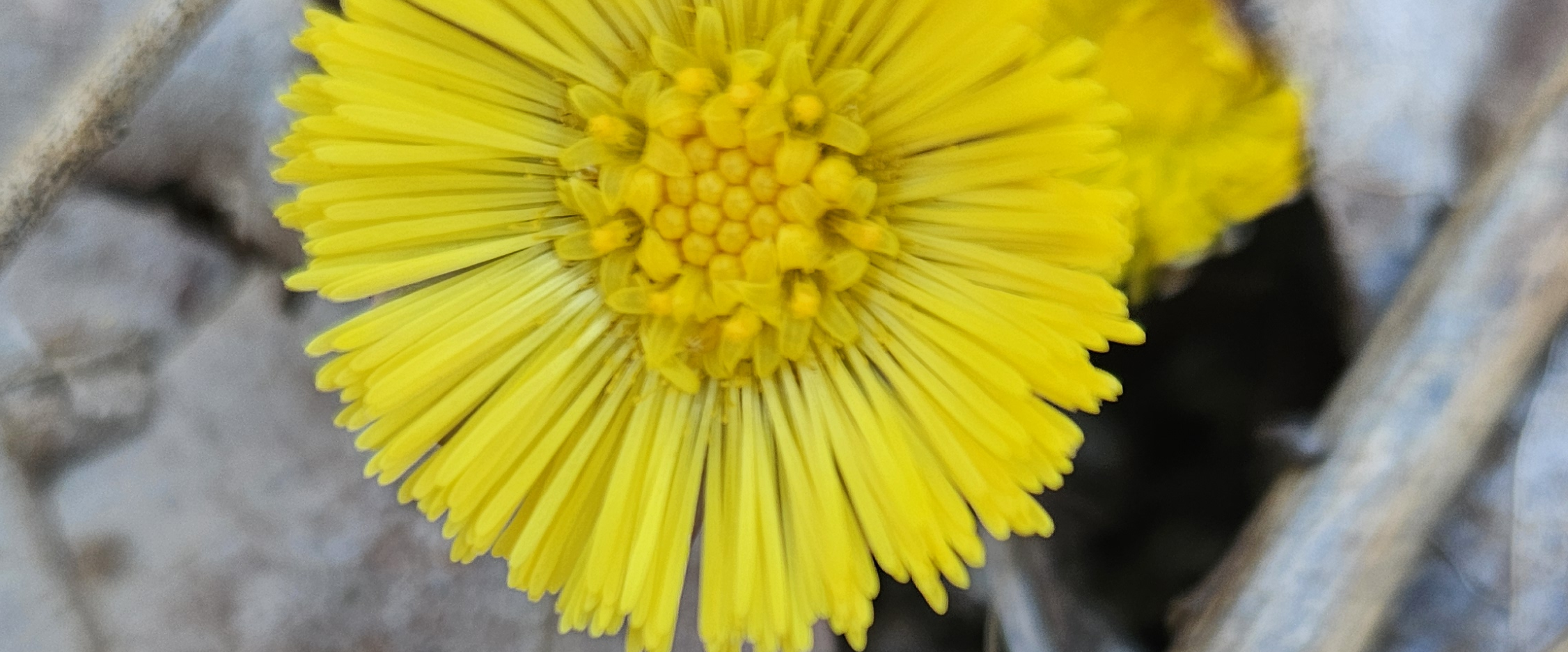 challenge background