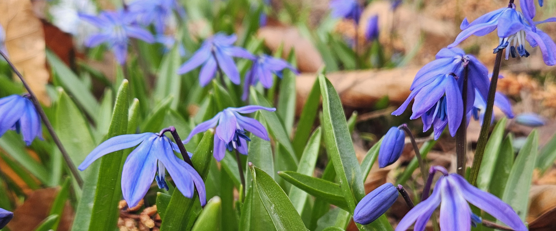 challenge background