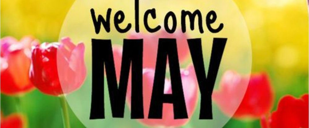 💐MAY FESTIVAL💐 logo