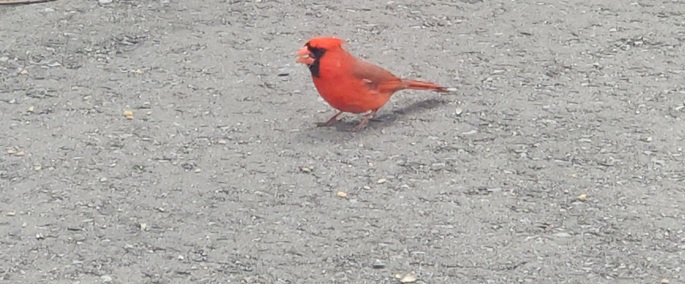 challenge background