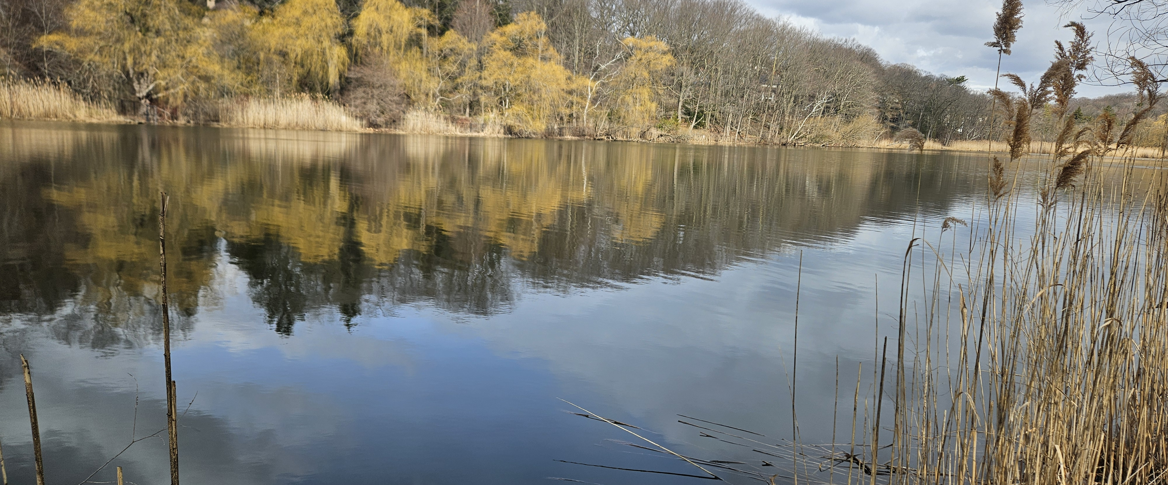 challenge background