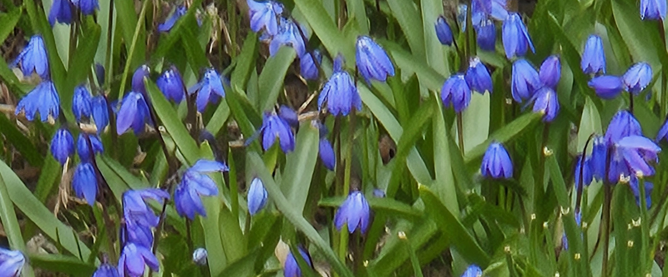 challenge background