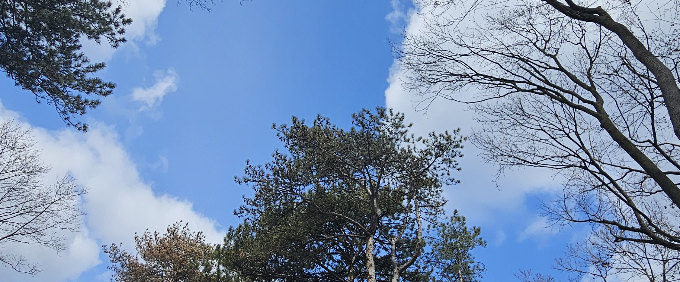 challenge background