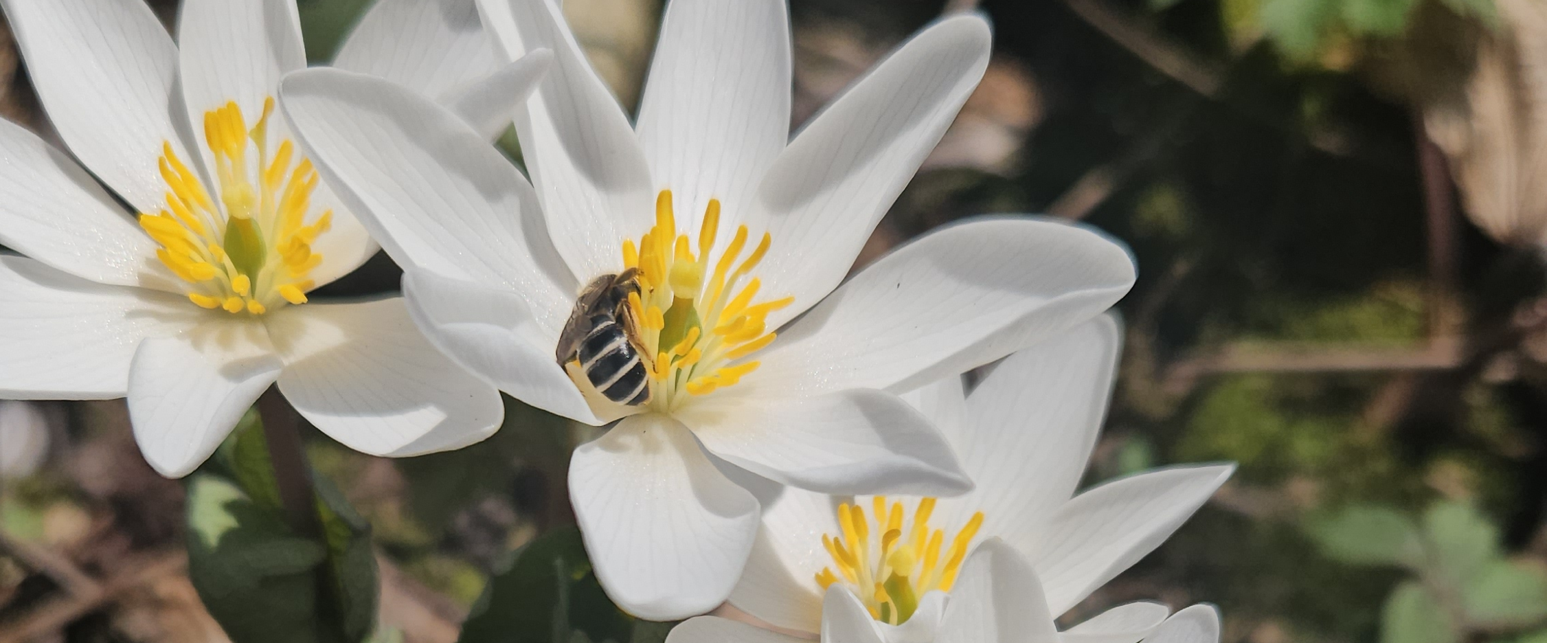 challenge background