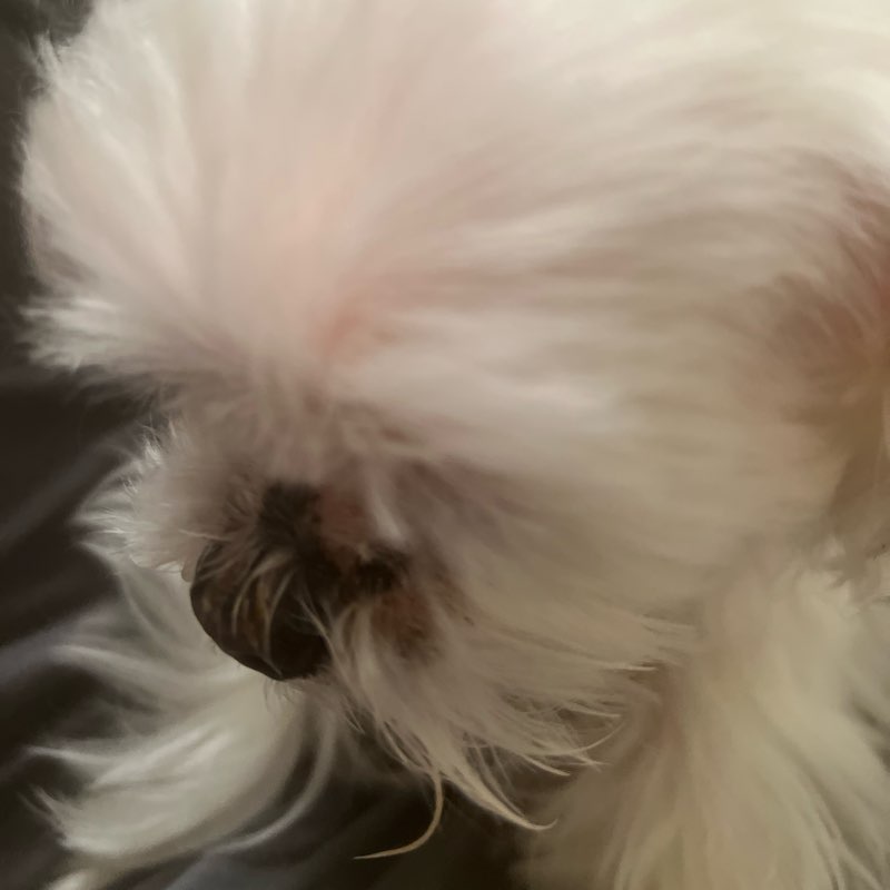 走走跑跑跳跳的快樂 logo