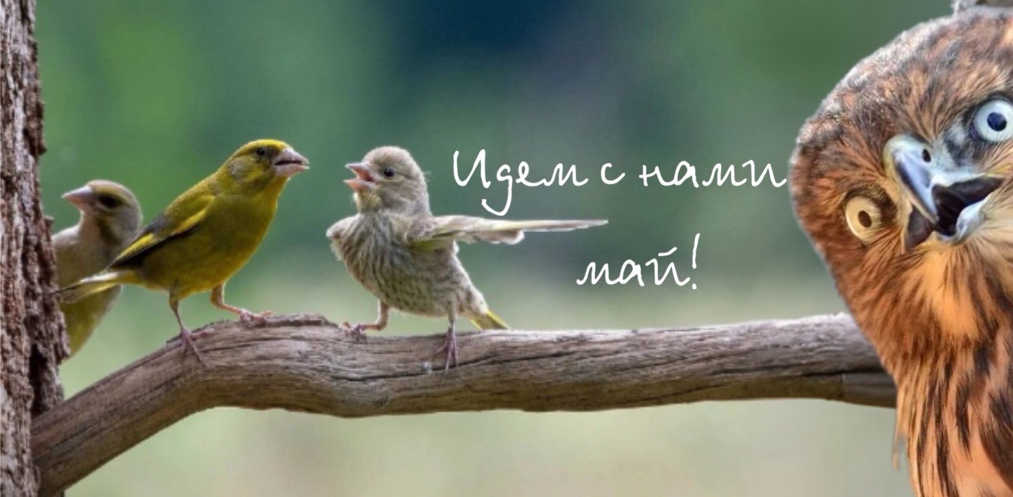 🐣Идем с нами май! 🐣 logo