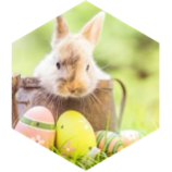 Easter Race of 2025 🐰 icon